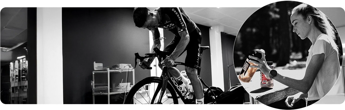 PRO Zone Protein kollektion med pulver, barer og recovery mix